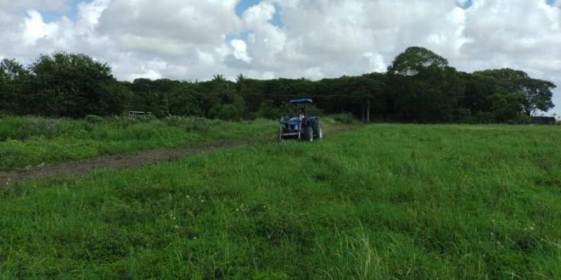 Prefeitura de João Pessoa inicia preparo de solo para agricultores familiares