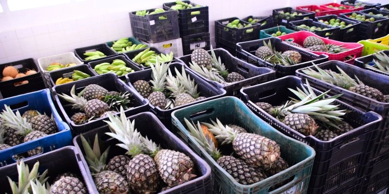 Governo compra 17,5 t de alimentos da agricultura familiar e atende pessoas em situação de insegurança alimentar