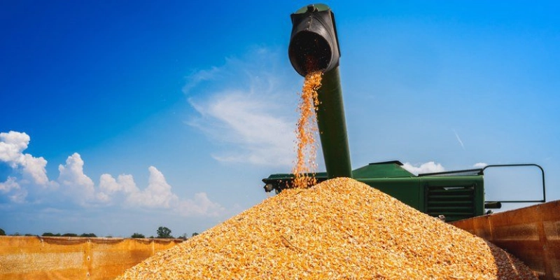 Conab aponta novo aumento na produção de grãos alcançando 325,7 milhões de toneladas na safra 24/25