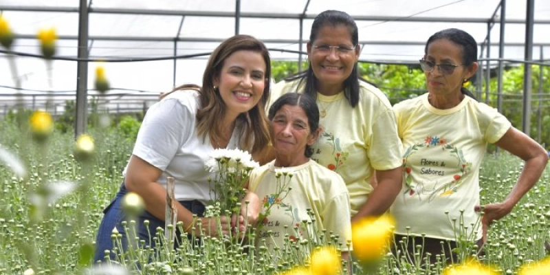 Ações do Governo melhoram produção e qualidade de vida de floricultores de Pilões 