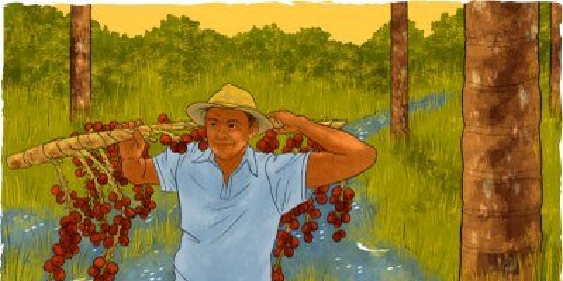 Defensores do Cerrado: ação do MPF destaca comunidades tradicionais que contribuem para a proteção do bioma