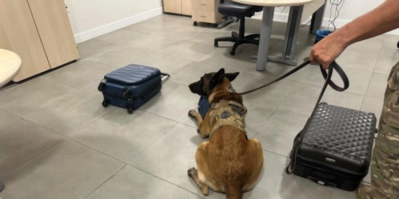 PF prende passageiro com cerca de 5 kg de cocaína