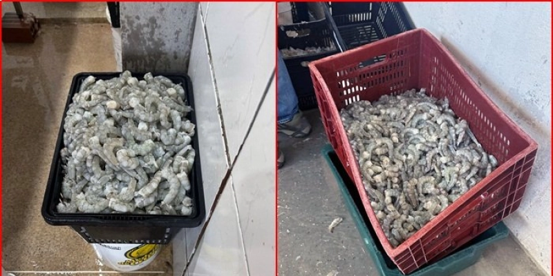 Agevisa interdita indústria de beneficiamento de pescados irregular, na Paraíba