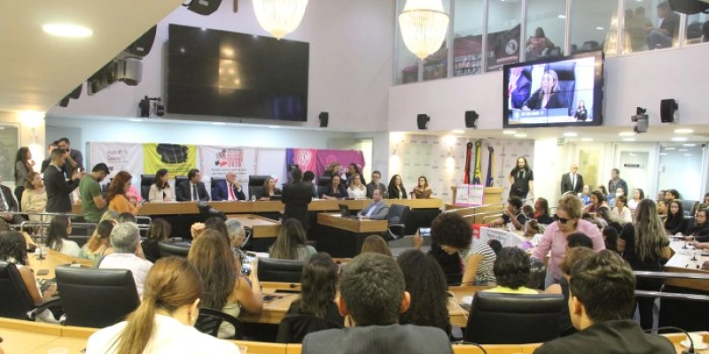 Comissão dos Direitos da Mulher da ALPB debate violência obstétrica na Paraíba