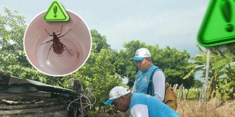Vigilância Sanitária realiza ações intensificadas contra o inseto barbeiro na zona rural de Aparecida  