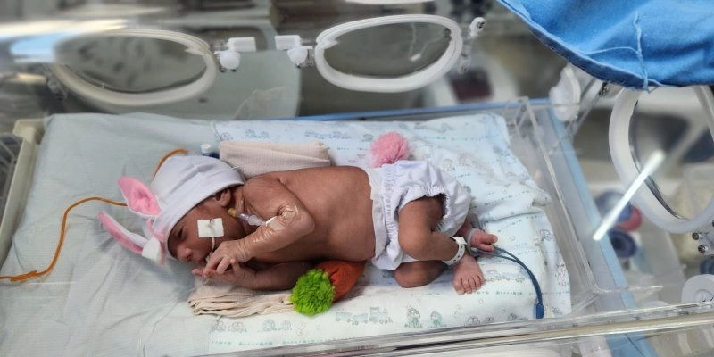 Hospital Edson Ramalho faz ensaio fotográfico de Páscoa com bebês internados nas unidades de cuidados avançados