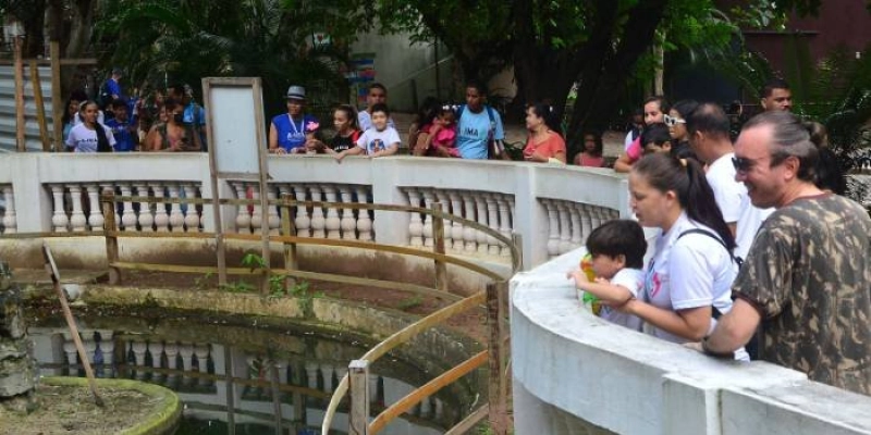 Parque Arruda Câmara é opção acessível e agradável para curtir o feriado prolongado
