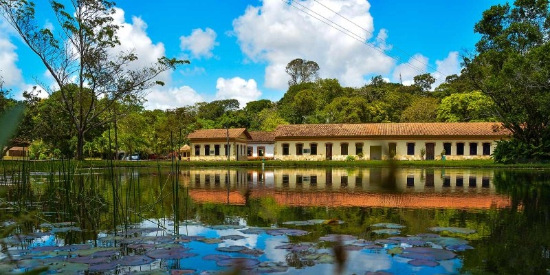 Governo e MPPB celebram Dia da Terra com evento no Jardim Botânico