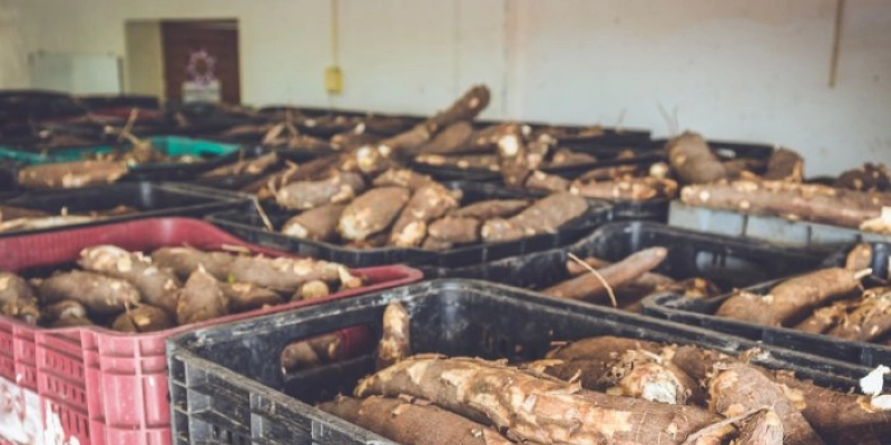Prefeitura publica edital para seleção de agricultores familiares para o Banco de Alimentos
