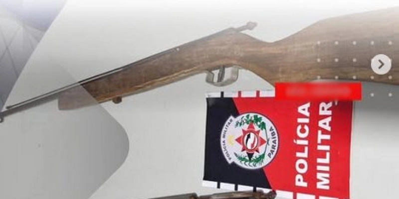 Polícia Militar apreende armas de fogo e aves silvestres em Santa Luzia