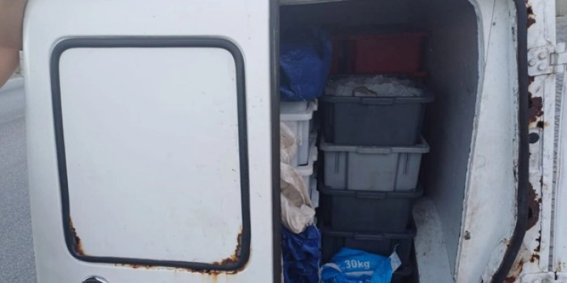 PRF flagra transporte irregular de camarão sem nota fiscal na BR-101, na Paraíba