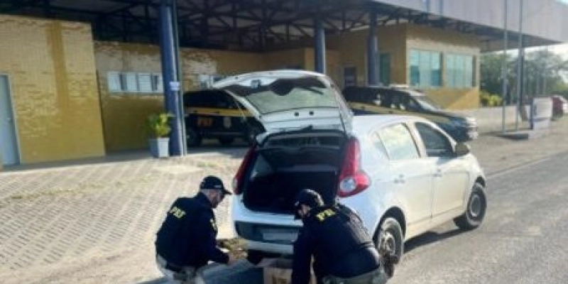 PRF apreende mais de 20 kg de cocaína durante abordagem de rotina e bate recorde histórico de apreensões na Paraíba