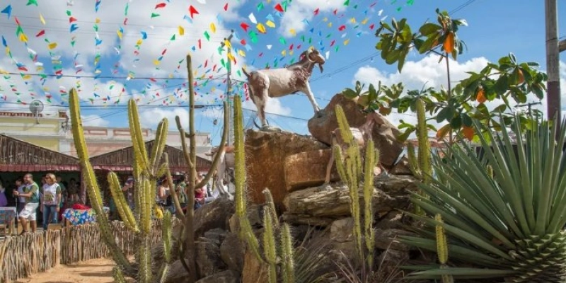 Programação da 26ª Festa do Bode Rei começa nesta sexta-feira, com participação do Governo do Estado