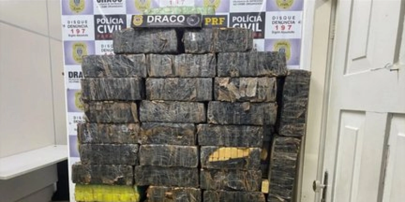 AÇÃO CONJUNTA: Aproximadamente uma tonelada de maconha apreendida no interior da PB