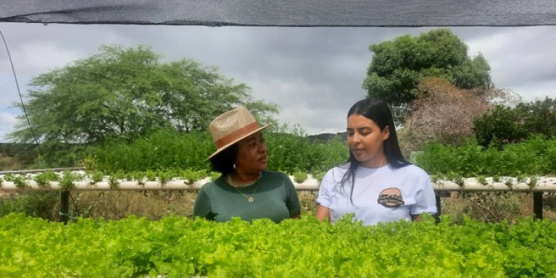Mulheres conquistam protagonismo no agro no município de Livramento com apoio da Sedap-PB