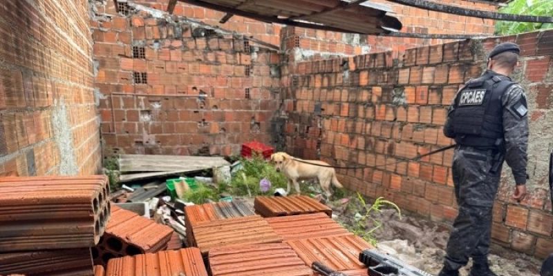 Cão labrador fareja e encontra armas que facção enterrou em comunidade da capital
