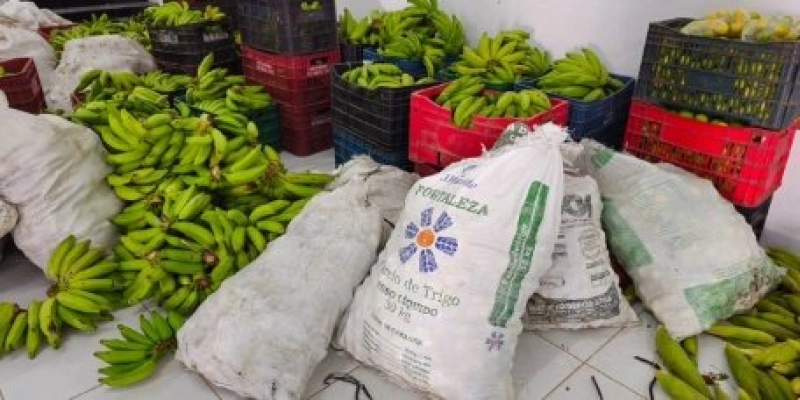 Prefeitura de Aparecida distribui cestas de alimentos do PAA para mais de 600 famílias