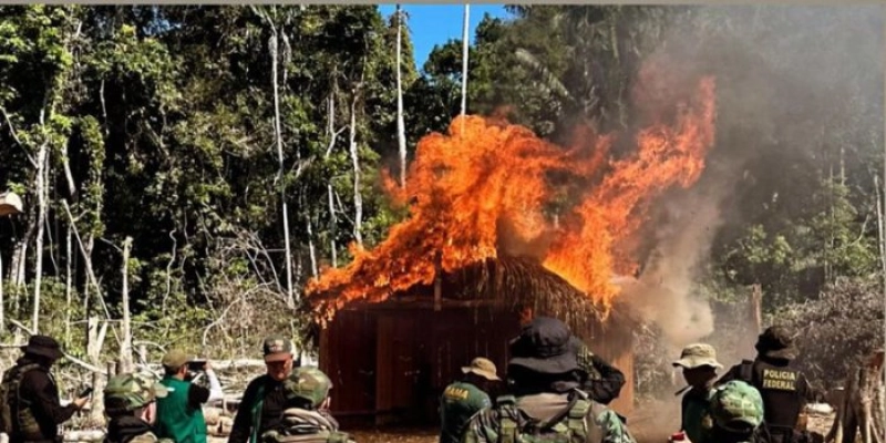 PF intensifica combate ao desmatamento e incêndios florestais