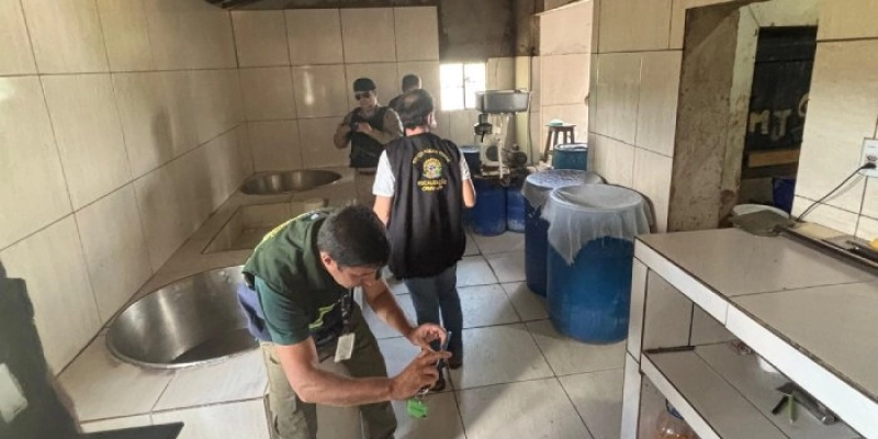Queijeira clandestina é interditada por condições insalubres na Paraíba