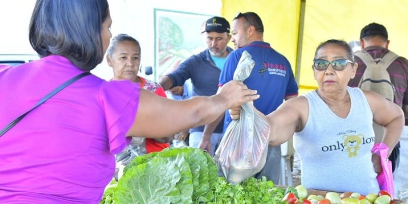 Agricultores familiares têm propostas aprovadas e venderão produção de alimentos no PAA