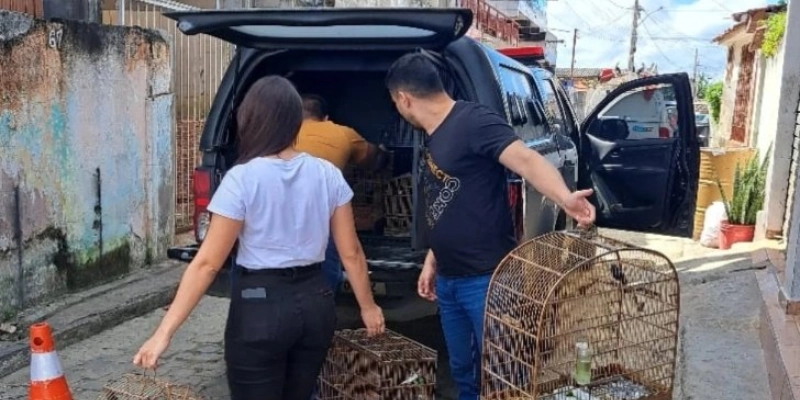 Polícia Civil prende dois homens pela prática de crime patrimonial e ambiental