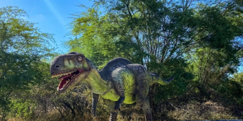 Sousa ganha destaque na mídia nacional como o “Vale dos Dinossauros” brasileiro