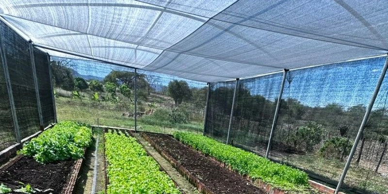 Governo investe na criação de uma rede de produção agrícola sustentável no Sertão da Paraíba