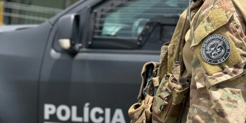 PF deflagra operação contra falsificação de documentos públicos e exploração ilegal de madeira