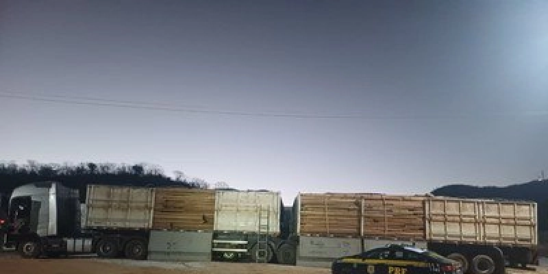 Operação da PRF realiza maior apreensão de madeira ilegal da história em rodovias federais