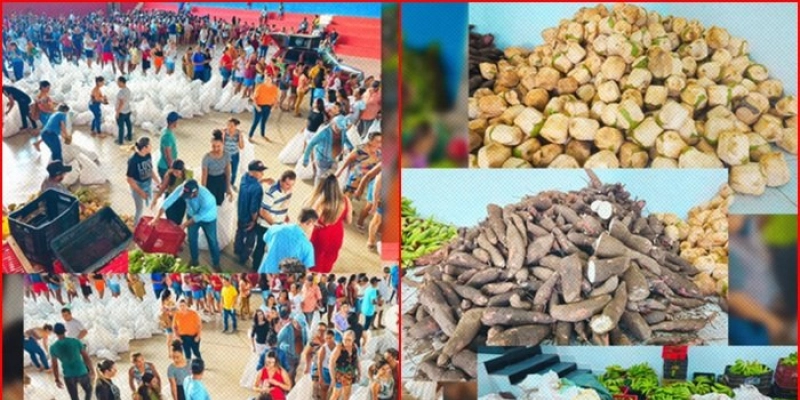 Aparecida assegura R$ 150 mil para compra de alimentos da agricultura familiar