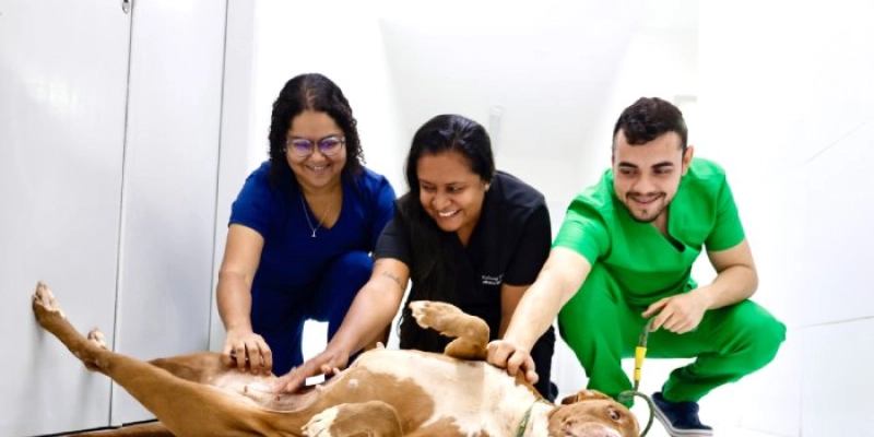 Prefeitura de João Pessoa e o olhar sobre a Saúde Única, onde manter sociedade e animais em harmonia é a palavra de ordem