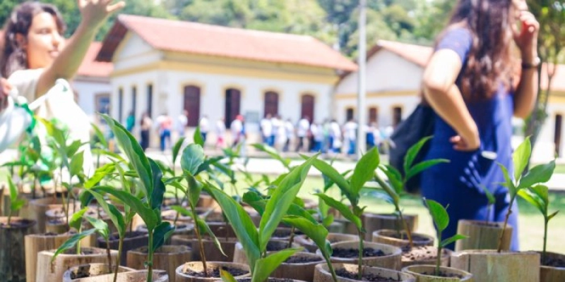 Sudema realiza ação sobre o plantio de árvores e o impacto nas mudanças climáticas