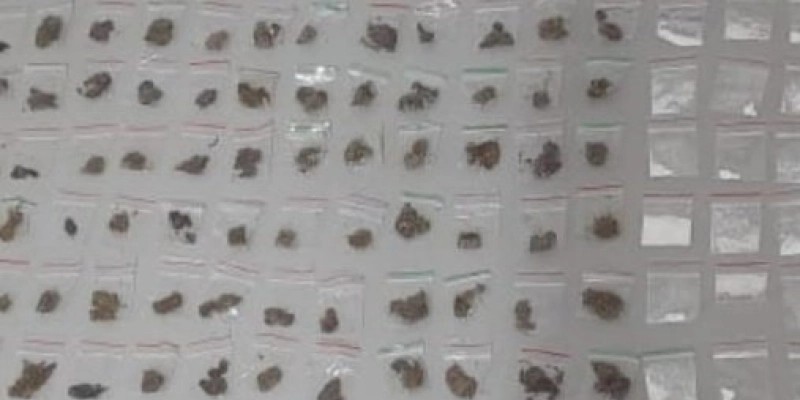 Polícia apreende drogas e desarticula boca de fumo em cidade da Paraíba