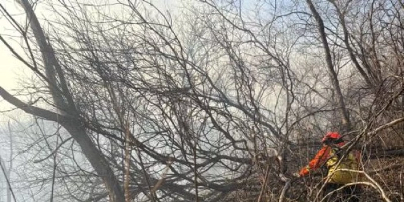 Incêndio na Serra do Cruzeiro é controlado após destruir 40% da vegetação