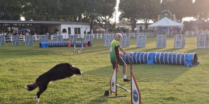 Expofeira Paraíba Agronegócios 2025: Cães dão show de agilidade e beleza em competição do Kennel Clube da PB