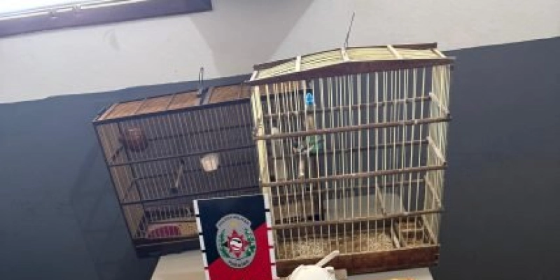 Polícia prende acusado com arma de fogo, drogas e animais em cativeiro