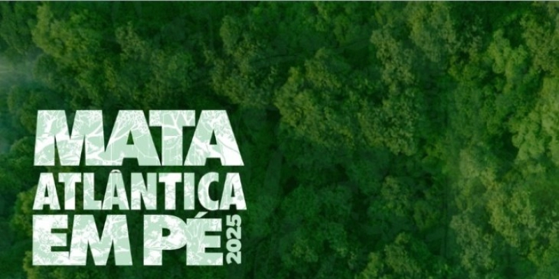 Operação constata desmatamento em 51 hectares e aplica R$ 20 mil em multas, na PB 