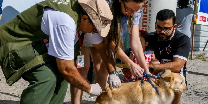 População de João Pessoa aproveita ‘Dia D’ de vacinação antirrábica e imuniza cães e gatos