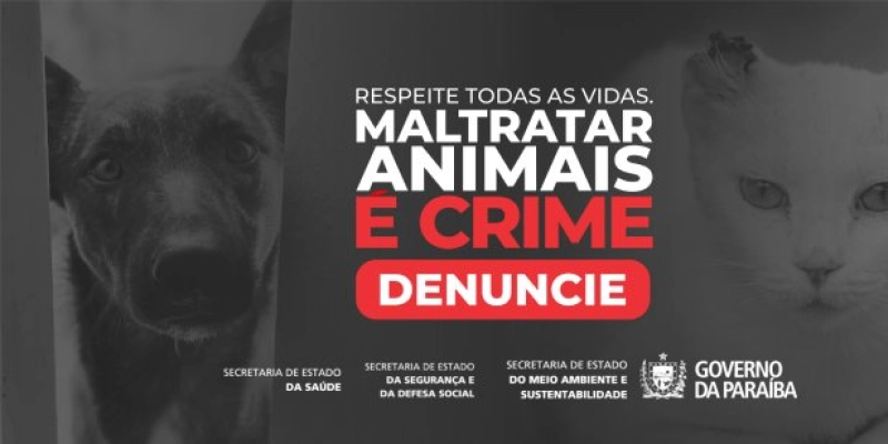 Paraíba lança campanha ‘Respeite Todas as Vidas: Maltratar Animais é Crime’, neste sábado