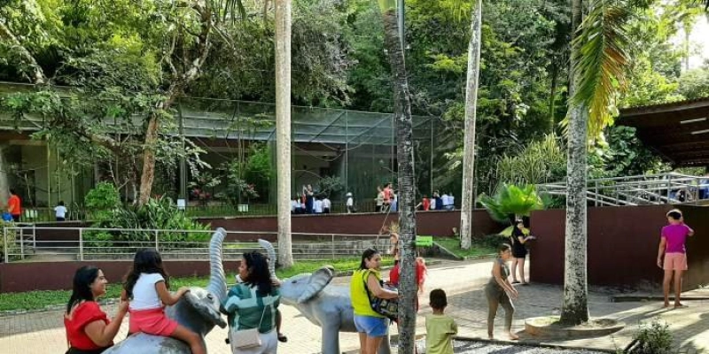 Parque Arruda Câmara alia natureza, saúde e bem-estar com atividades físicas e terapêuticas gratuitas