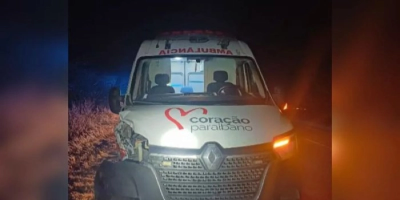Animal solto provoca acidente com ambulância na BR-230, no Sertão
