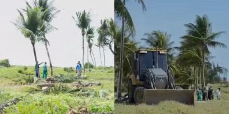 Justiça da Paraíba proíbe prefeitura de Cabedelo de derrubar coqueiros em praia de Camboinha