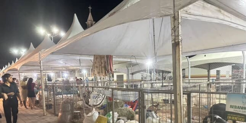 Começa a 1ª edição da FEAGROS em Sousa: evento valoriza o produtor rural e impulsiona o desenvolvimento agropecuário