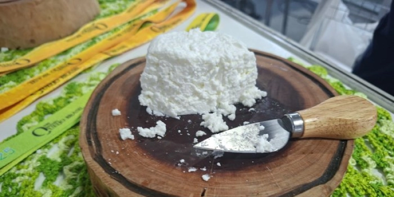 Salão do Queijo da Paraíba reúne quase 350 produtos artesanais no Espaço Cultural, em João Pessoa
