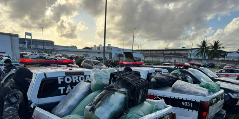 Operação da Polícia Militar apreende quase meia tonelada de drogas, nesta madrugada