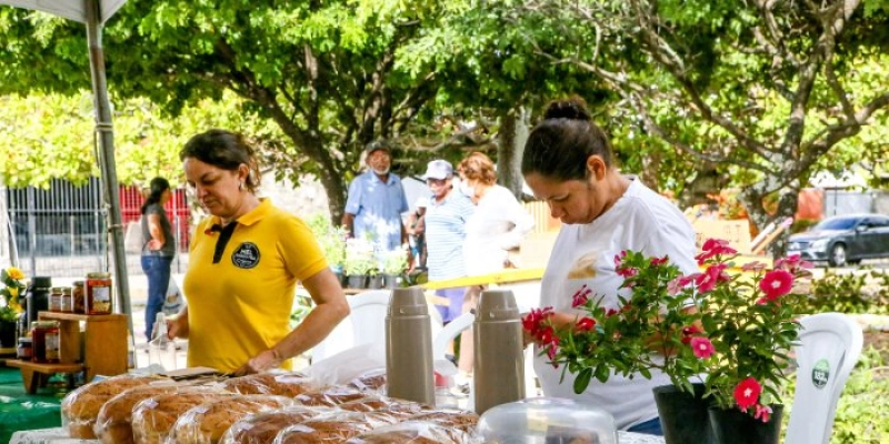 Apoio da Prefeitura de João Pessoa à agricultura familiar transforma atividades na zona rural