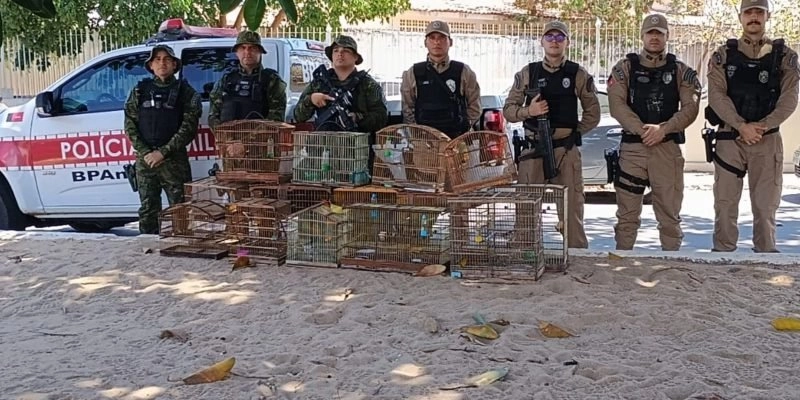 Procurado da justiça por homicídios no Estado de Pernambuco é preso no sertão da Paraíba