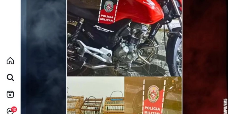 PM flagra direção perigosa e apreende aves silvestres em operação no Bairro Janduir Carneiro, em Pombal