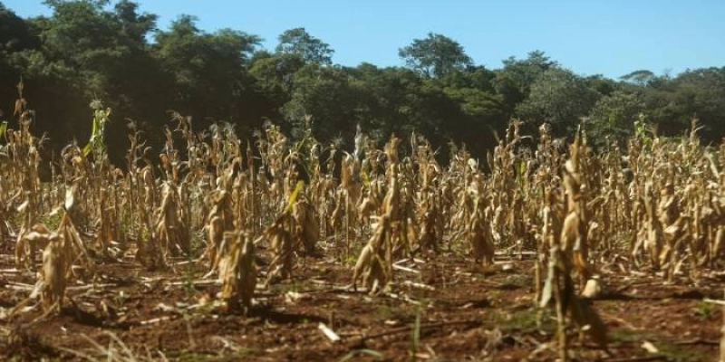 Com 13 novos municípios, Paraíba soma 110 cidades em situação de emergência