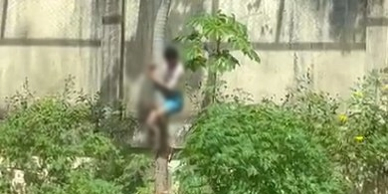 Homem invade jaula de leoa em zoológico da Paraíba e morre após ataque